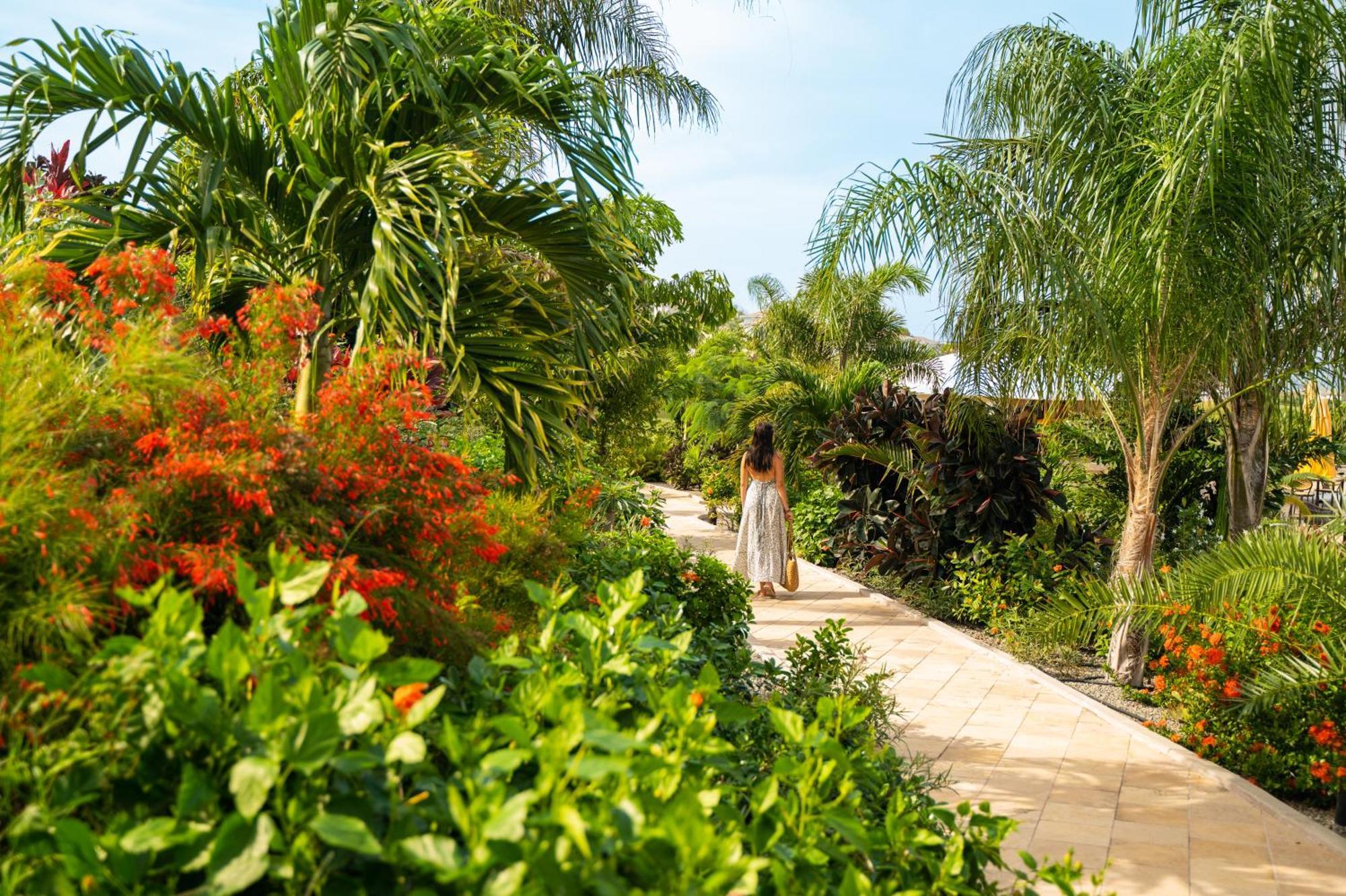 Golden Rock Dive And Nature Resort Oranjestad  Kültér fotó